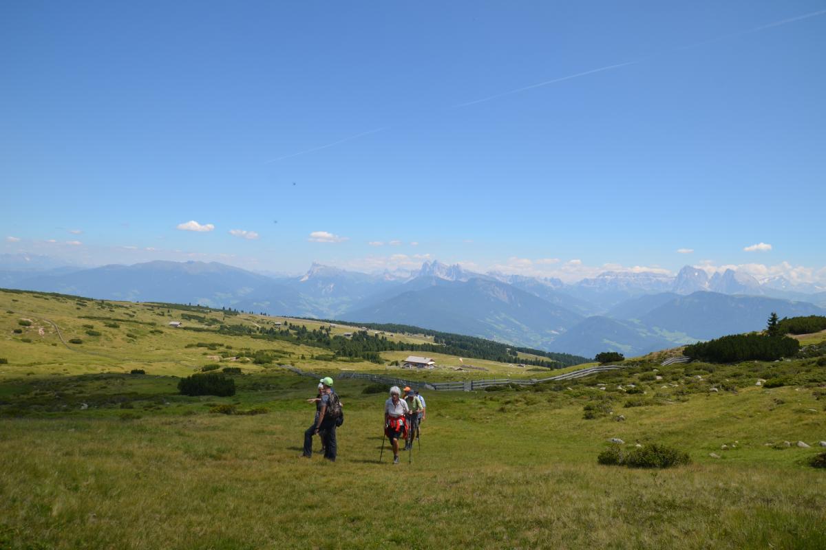 Latschenoelbrennerei und Platzer Alm 23.07.2019